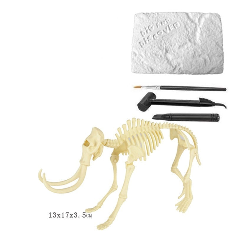 Kit de Escavação de Fósseis de Dinossauros