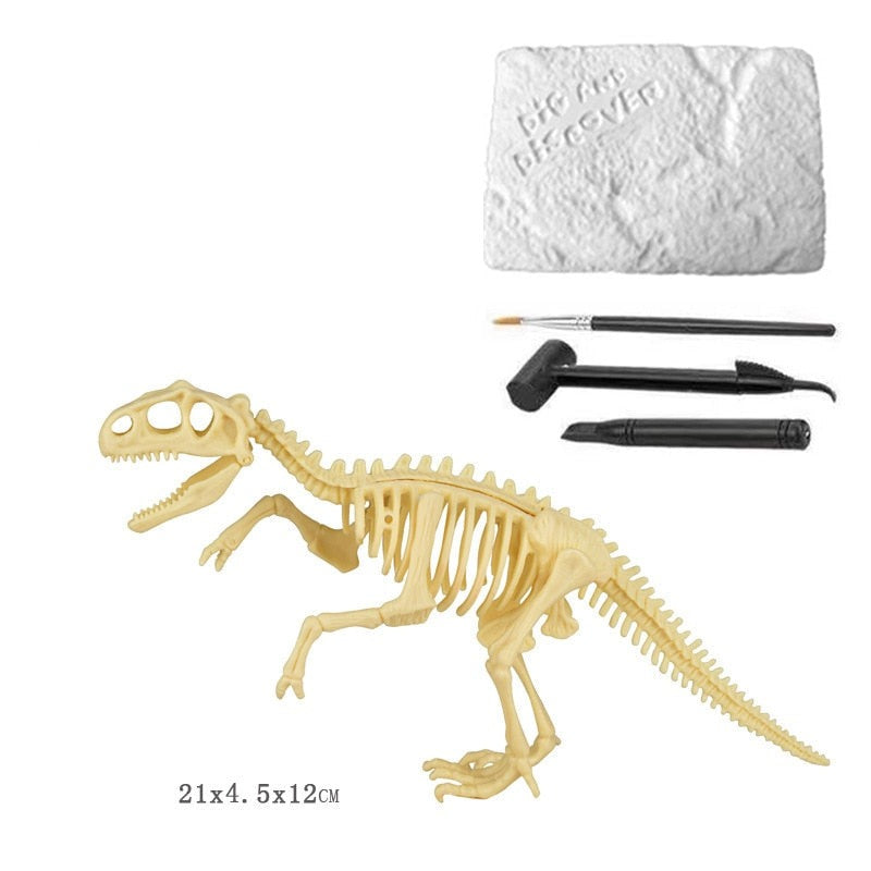 Kit de Escavação de Fósseis de Dinossauros