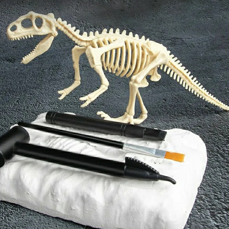 Kit de Escavação de Fósseis de Dinossauros