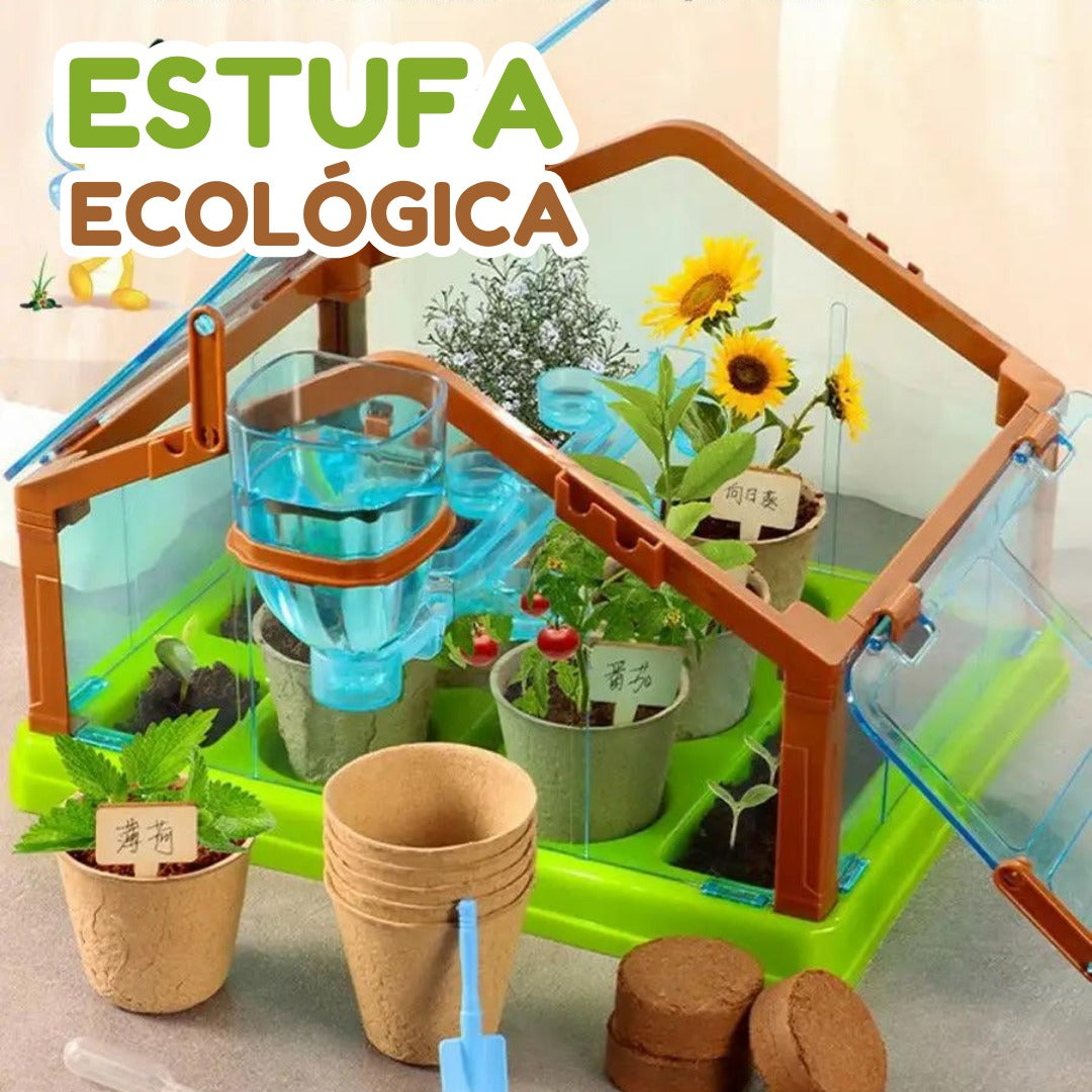 Mini Estufa Ecológica - Desenvolva o amor pela natureza