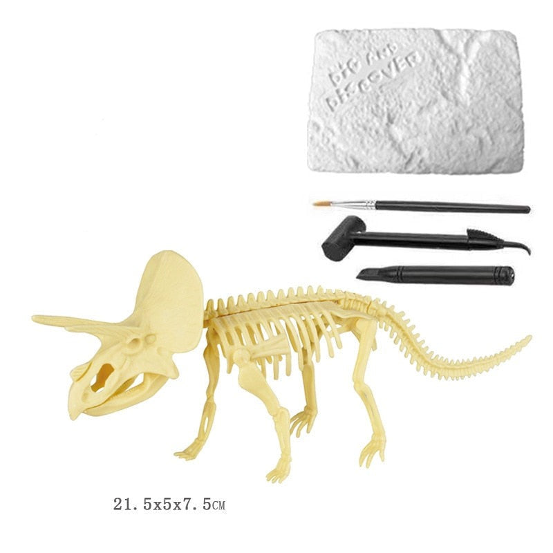 Kit de Escavação de Fósseis de Dinossauros