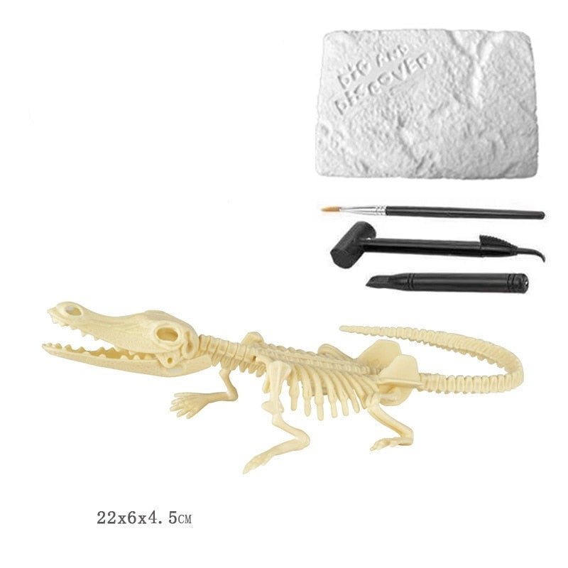 Kit de Escavação de Fósseis de Dinossauros