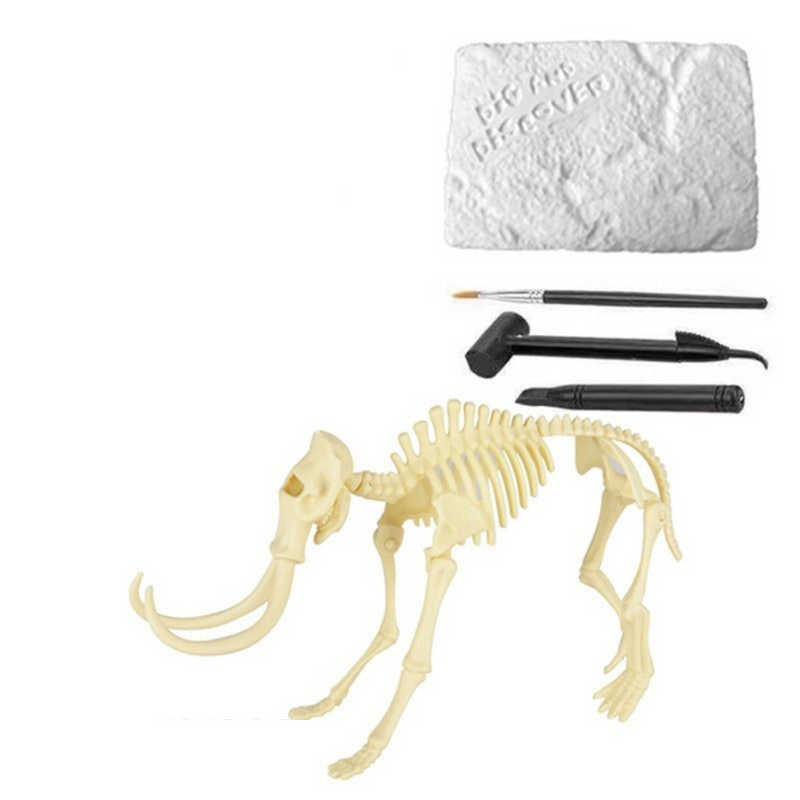 Kit de Escavação de Fósseis de Dinossauros